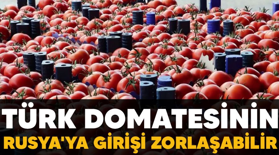 Trk domatesinin Rusya'ya girii zorlaabilir