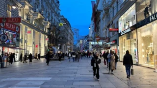 Viyana’da Türkler: Şehrin en büyük göçmen topluluklarından birisi