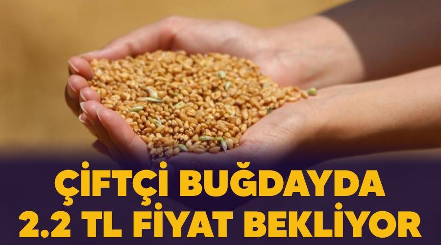 Çiftçi buğdayda 2.2 TL fiyat bekliyor