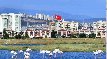 Flamingolar İzmirlileri büyülüyor