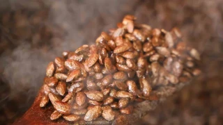 Gelenekten yeniliğe: Türk kahveli badem şekeri