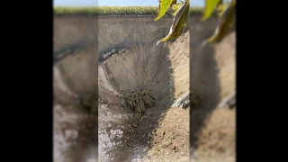 Konya'da yeni obruk oluştu