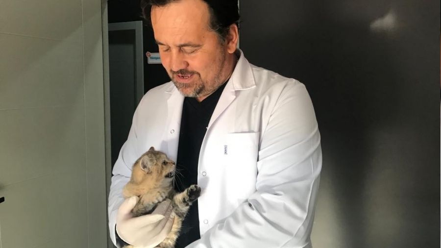 Kuduz hastalığı farklı hayvanlarda da görülebilir