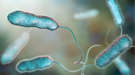 Lejyonella bakterisinden ölenlerin sayısı 7'ye yükseldi