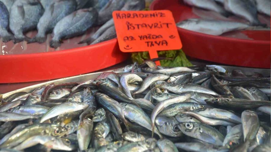 Marmara'da hamsi bolluğu fiyatları düşürdü