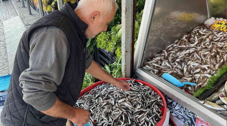 Palamuttan sonra gelen hamsi yüz güldürüyor
