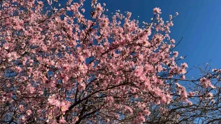 Görüntüler Mardin'den