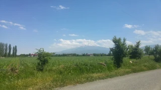 Halfeli Yaylası: Iğdır merkeze yakın, serin bir kaçış noktası