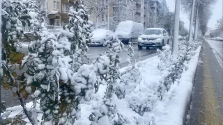  Anadolu'da kar etkili oluyor