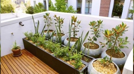 Pandemide balkon sebzeciliği psikolojiyi düzeltiyor