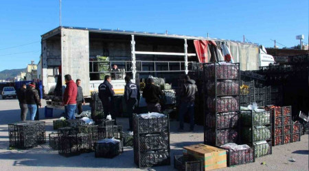 Antalya'dan afet bölgesine 100 ton sebze