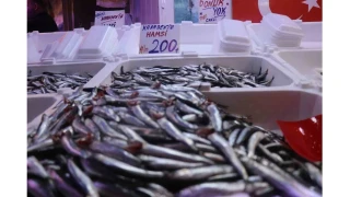 Hamsi tezgahlardaki tahtına yeniden oturdu