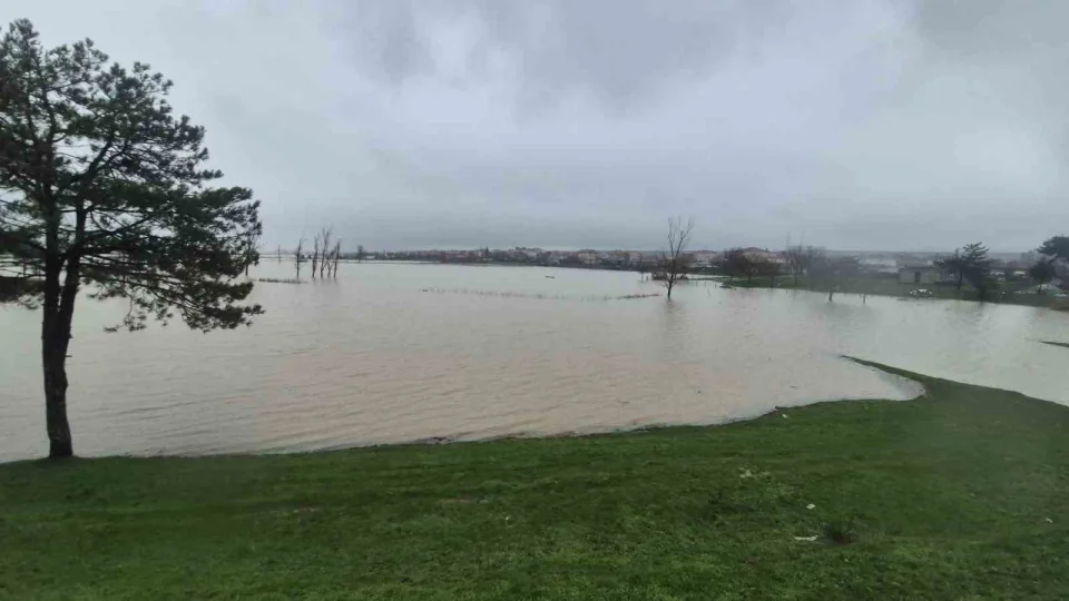 Meriç Nehri'nden taşan sular yaşam alanlarına kadar ulaştı