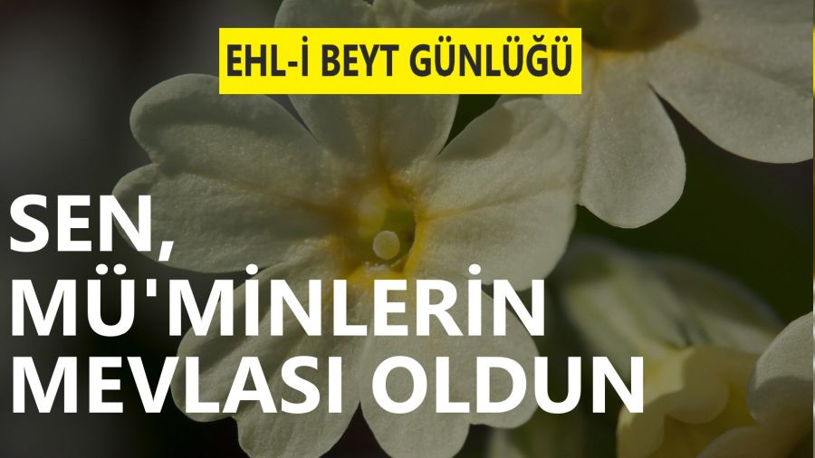 ‘Sen, mü'minlerin mevlası oldun'