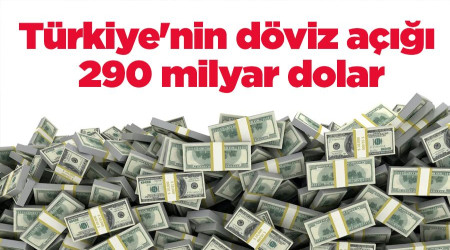 Türkiye'nin döviz açığı 290 milyar dolar