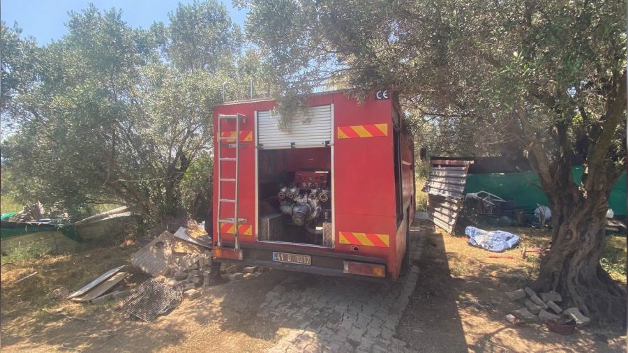 Zeytinlikte yangın çıktı, çok sayıda ağaç küle döndü